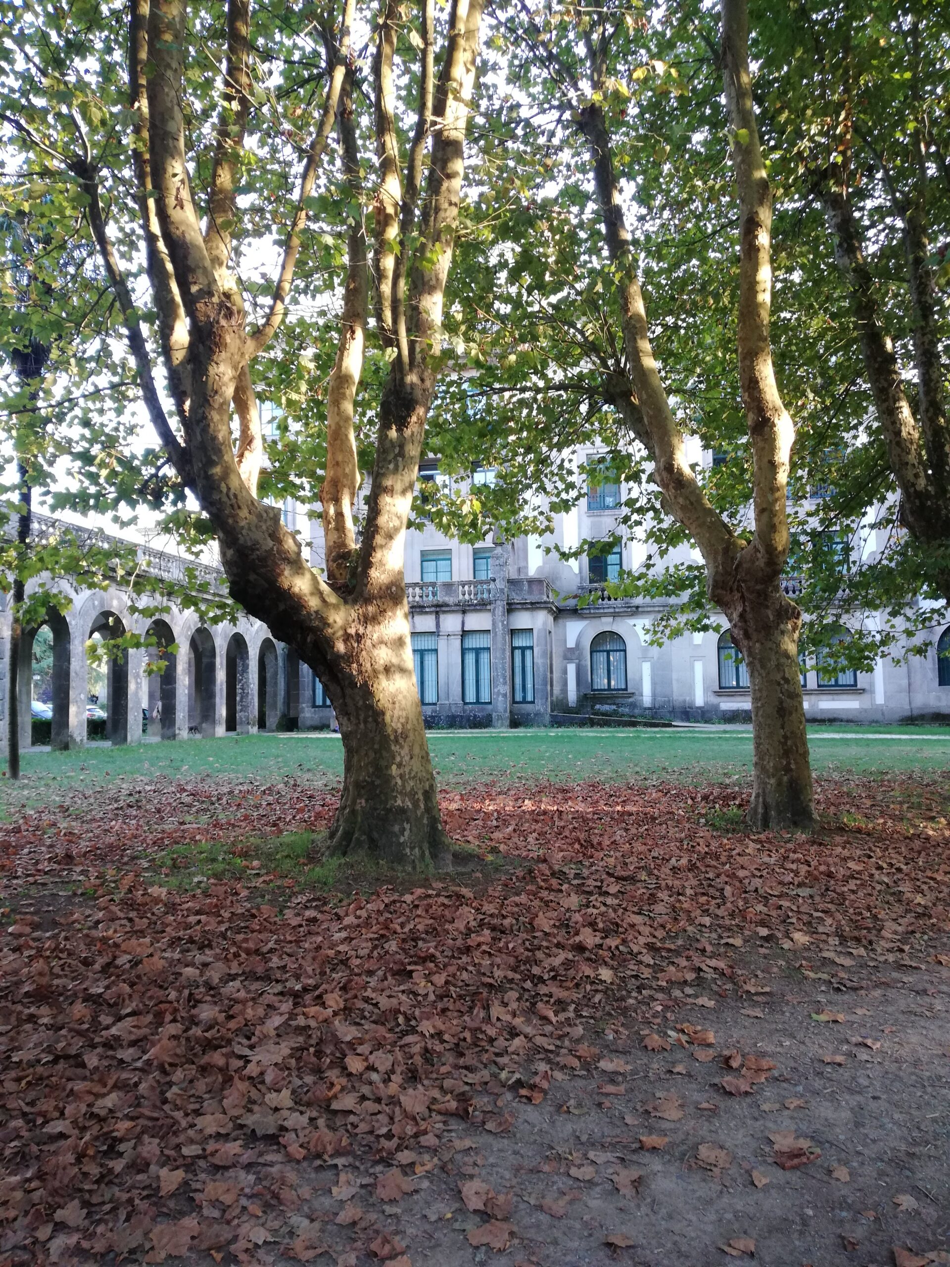 universidad-de-santiago-de-compostela